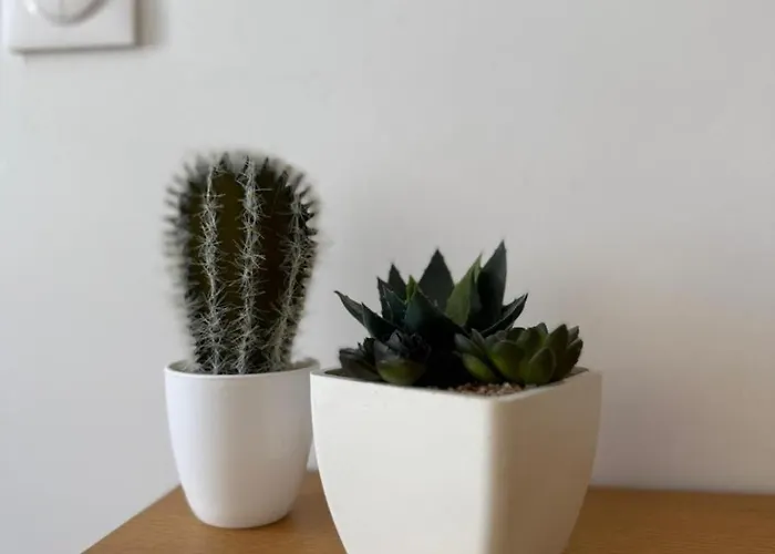 Apartament Design Gare, Netflix & Confort Nancy